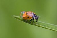Cjp_2011_08_14_095912 (2).jpg